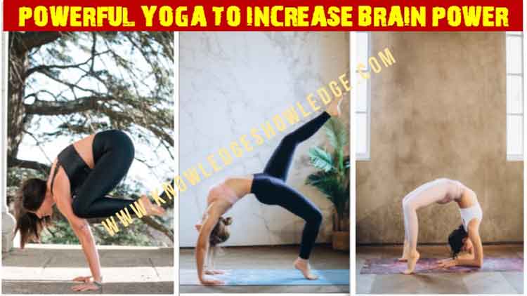 Yoga to Increase Brain Power
