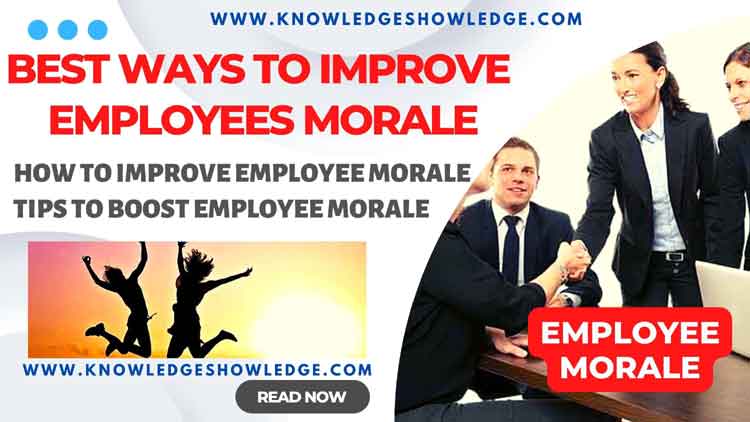 Best Ways to Improve Employee Morale