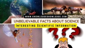 Unbelievable Facts About Science