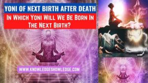 Which Yoni Will We Be Born In The Next Birth