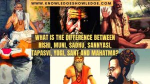 What is the difference between Rishi Muni Sadhu Sannyasi Tapasvi Yogi Sant and Mahatma?