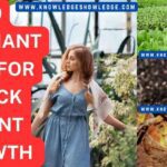 Tips for Plant Growth