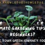 Gardening Tips for Beginners