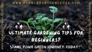 Gardening Tips for Beginners