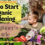 How to Start Organic Gardening?
