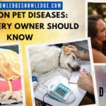 Common Pet Diseases