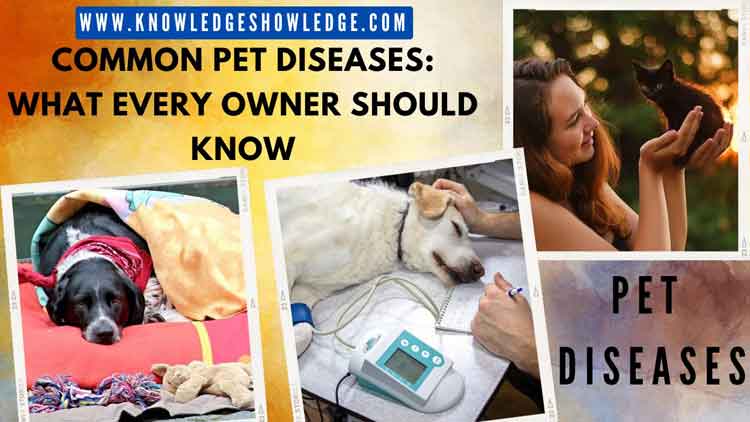 Common Pet Diseases